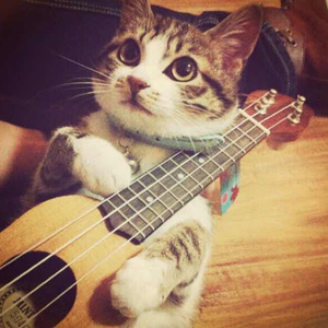 天堂视频免费在线观看
