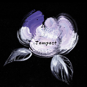 天堂视频免费在线观看
